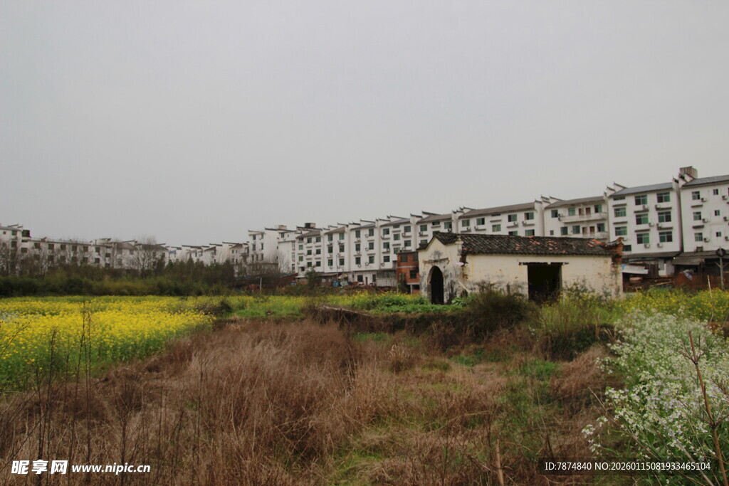 田野旁的楼房与老旧小屋