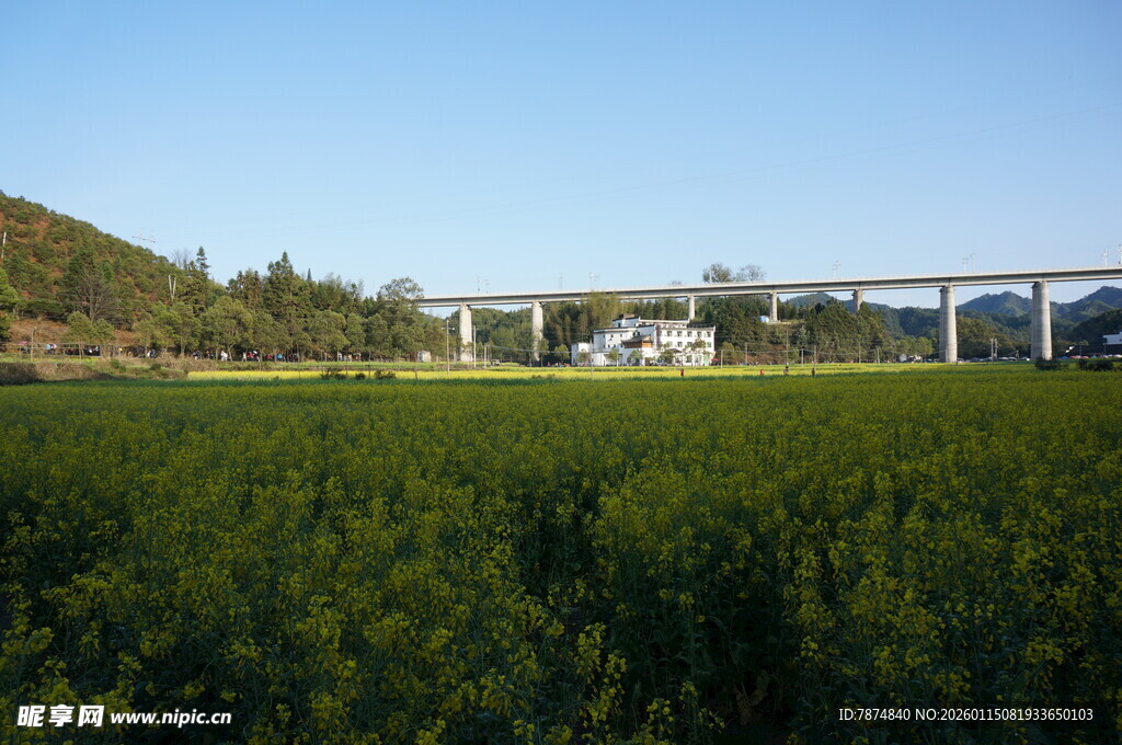 田野上的桥梁风景