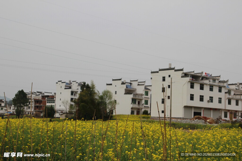 田园旁的白墙楼房与花田