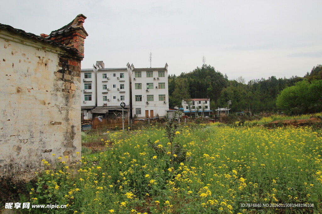 乡村田野旁的破旧与繁华
