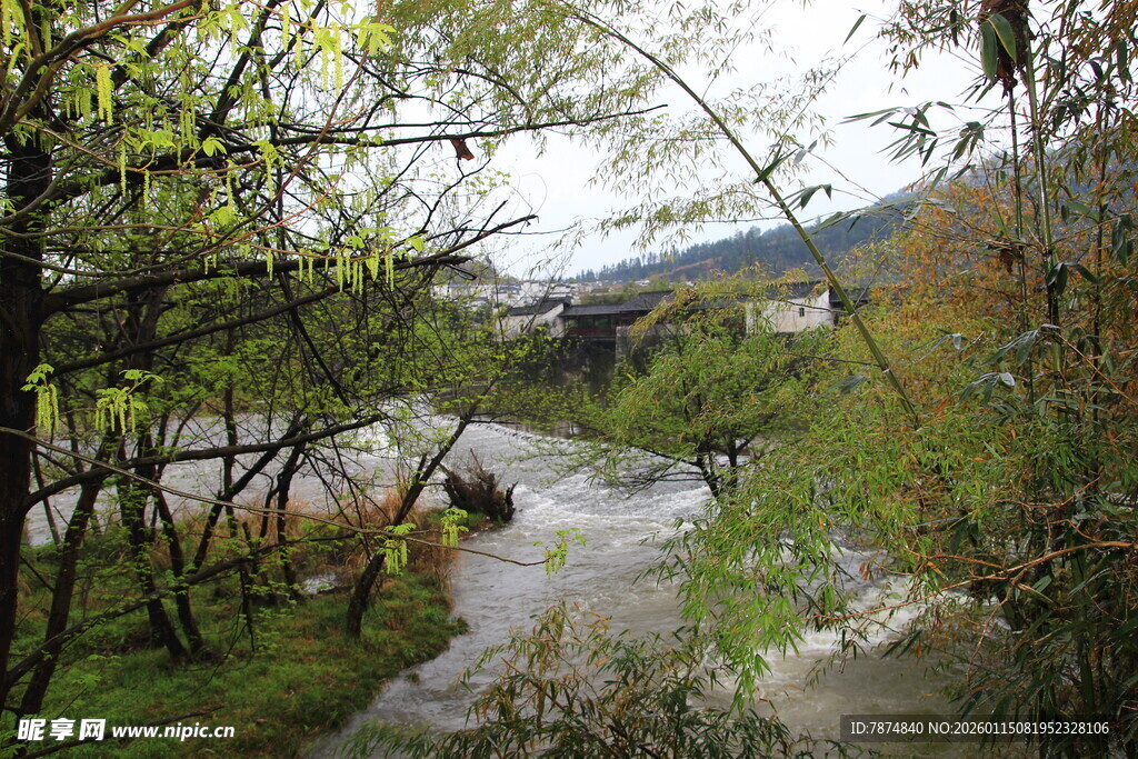 山间溪流旁的葱郁景致