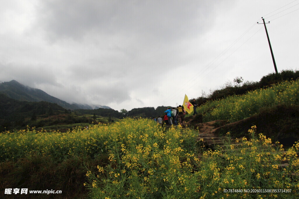 山间徒步者穿行于花草间