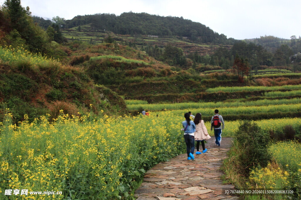 山间漫步赏油菜花海
