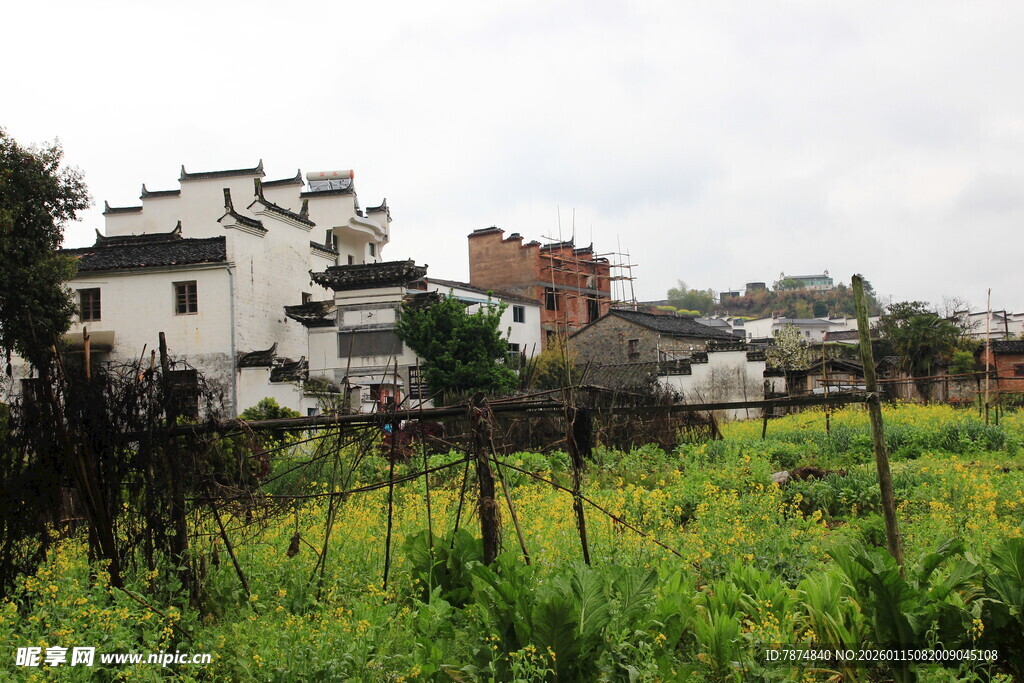 乡村田园风光 白墙黑瓦民居