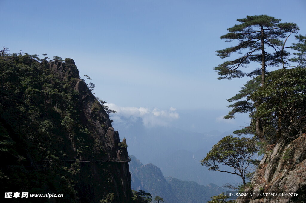 峻峭山峰边的挺拔松树
