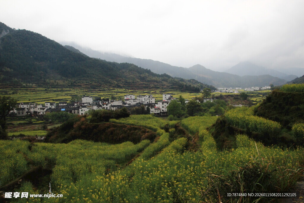 山间村落 绿野环绕的美景