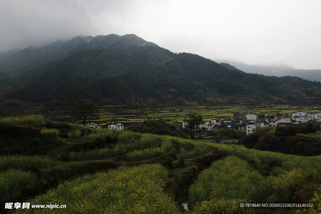 山间梯田云雾缭绕美景