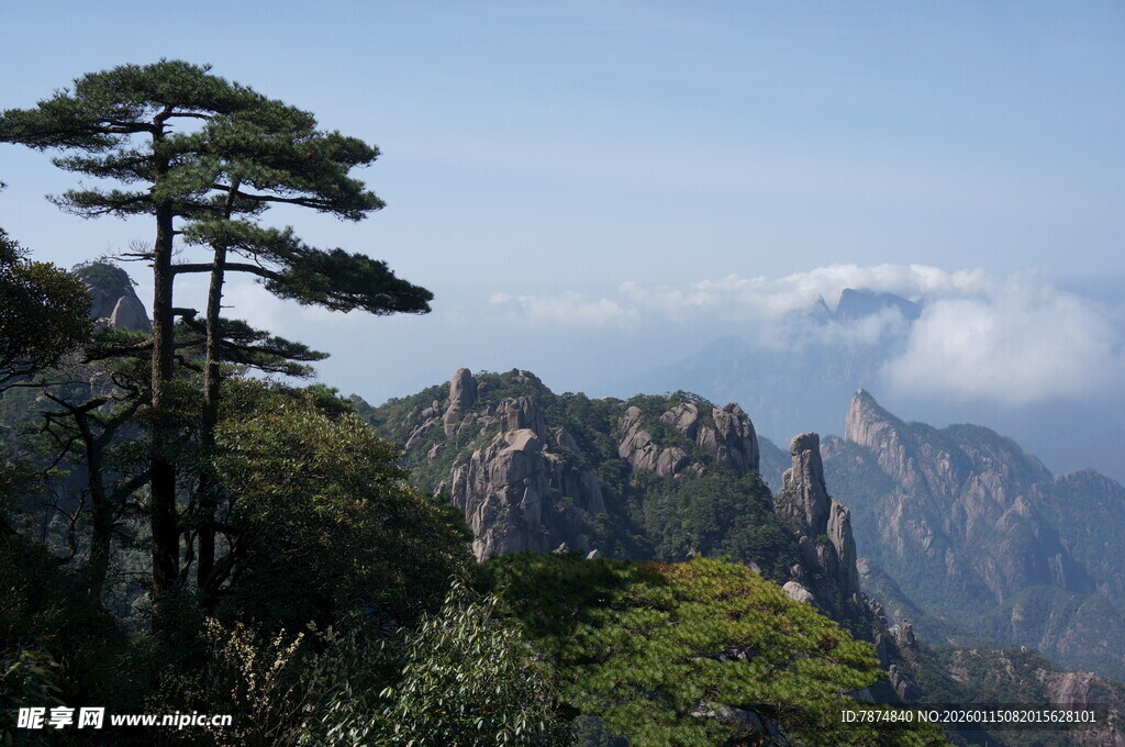 黄山奇松与壮丽山峦