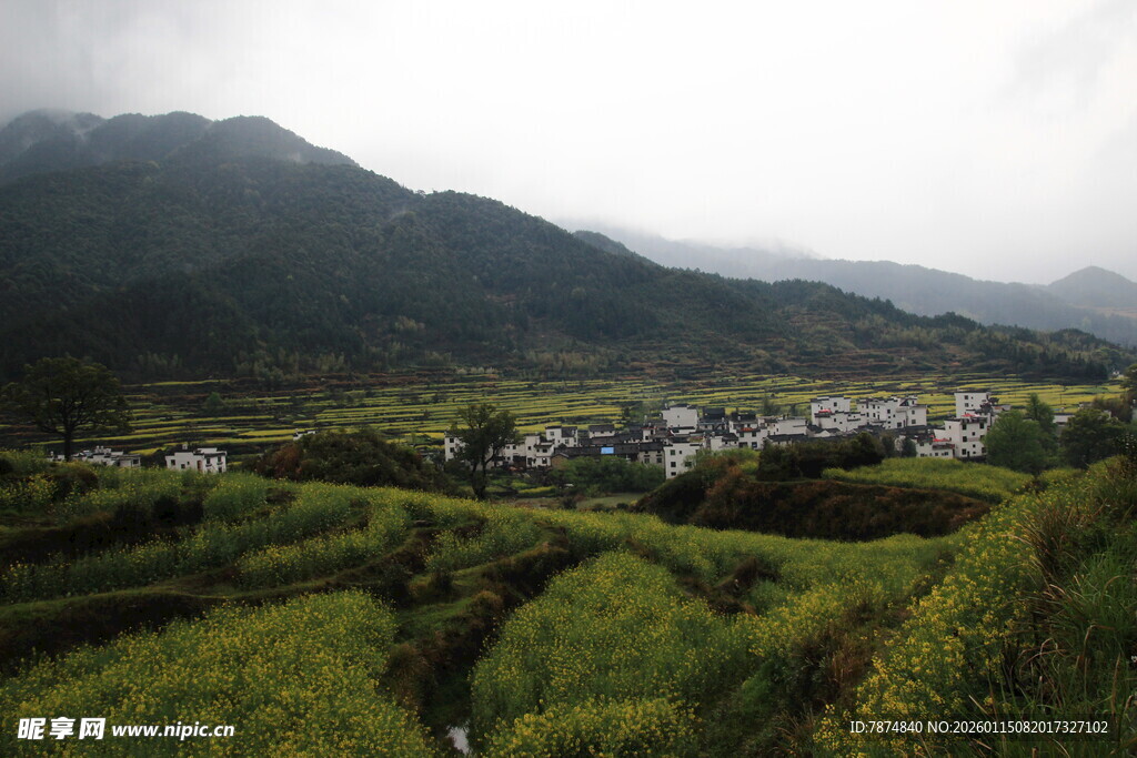 山间梯田村落美景