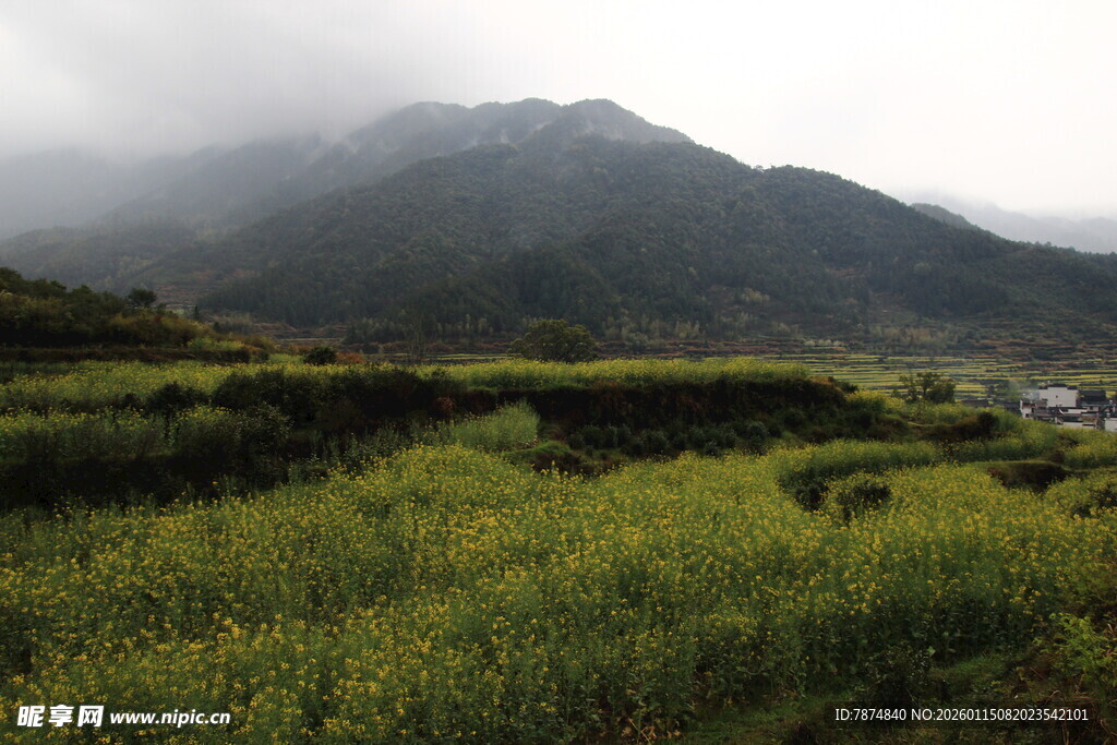 山间绿野田园风光