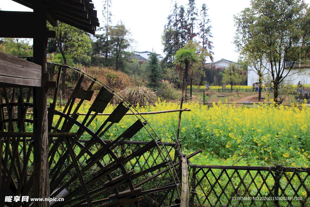 田园风光中的栅栏与花田