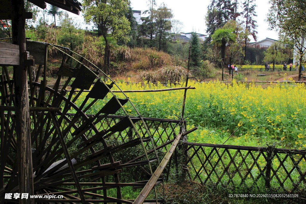 田园栅栏旁的翠绿田野