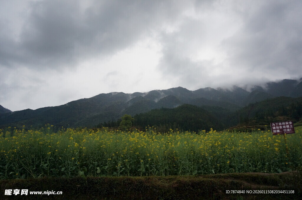 阴云下的田野与远山