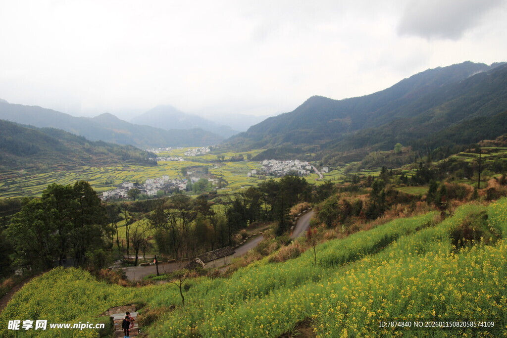山间绿野春色迷人