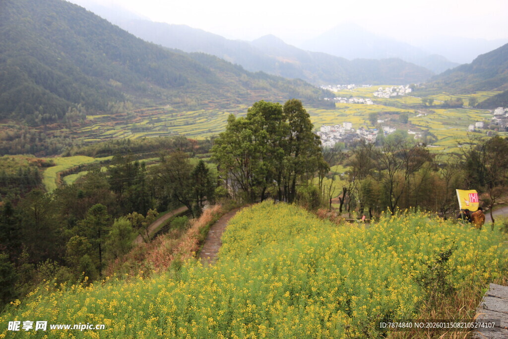 山间油菜花海田园美景