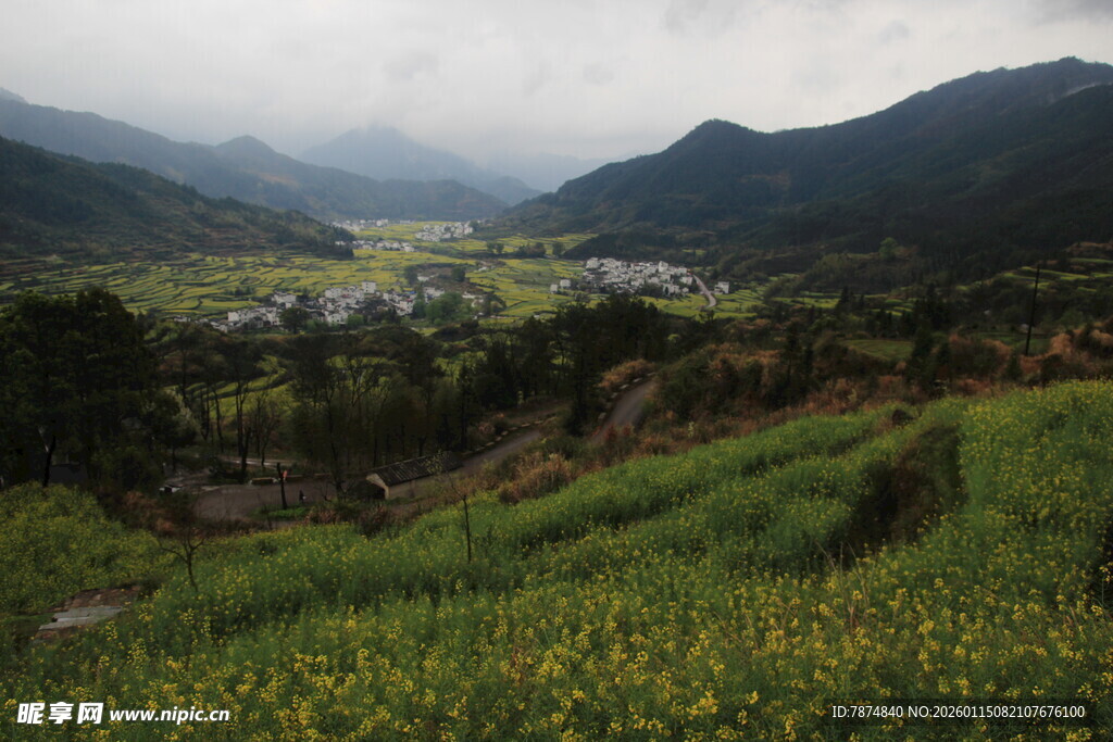 山间绿野黄花乡村美景