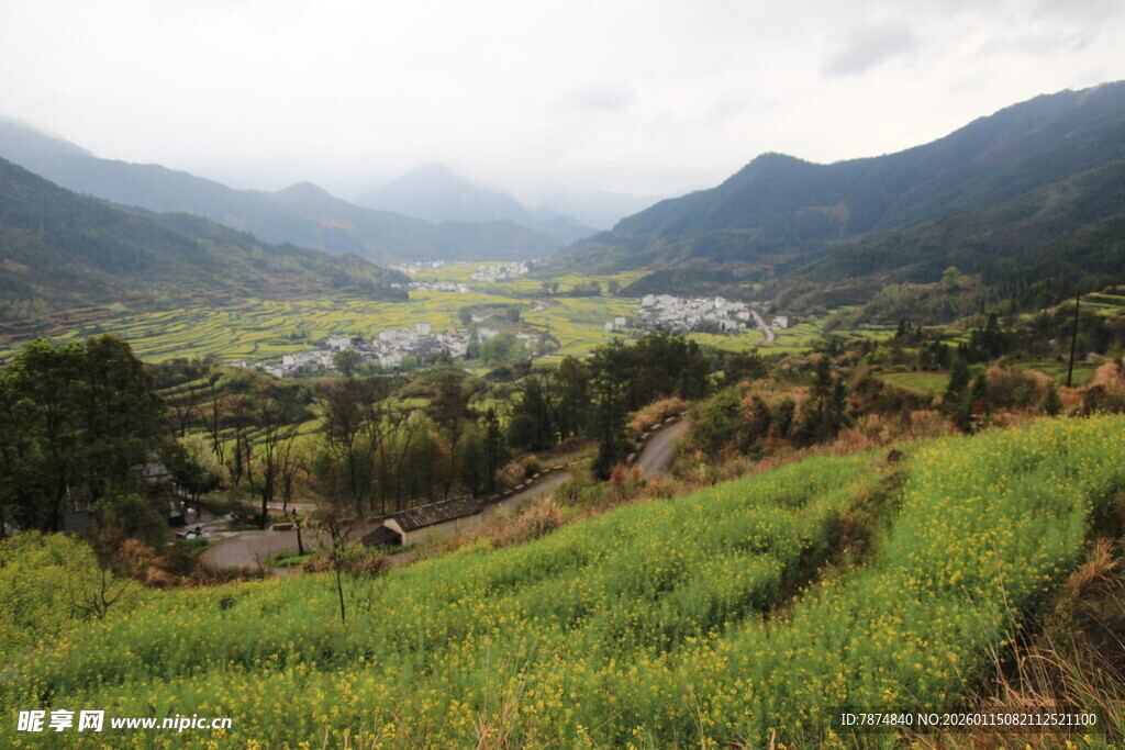 山间绿野中的宁静村落
