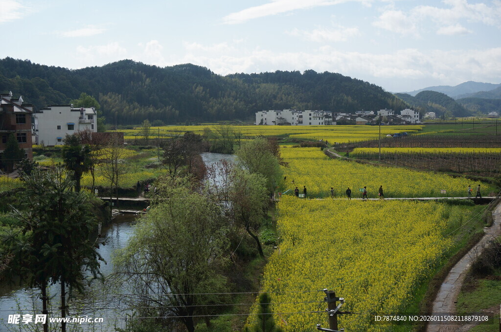 乡村春日田园美景