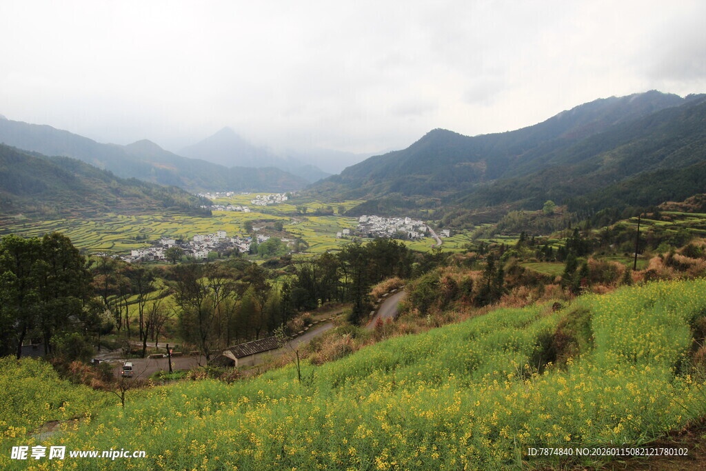 山间田园美景 绿意盎然