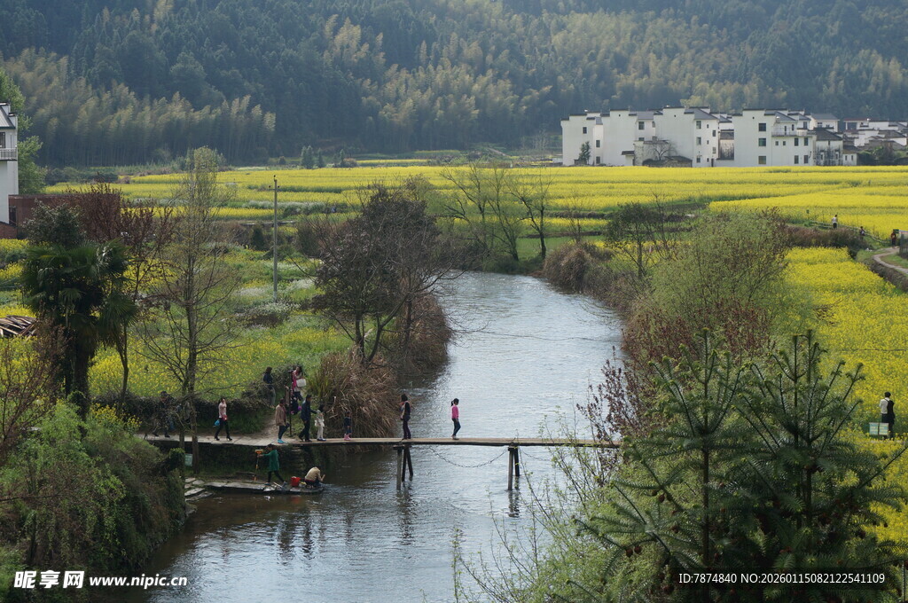 春日河畔油菜花田美景