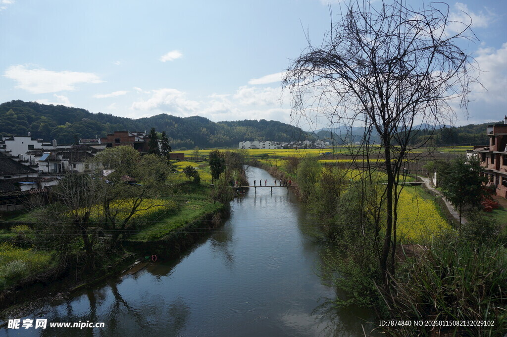 乡村河畔美景