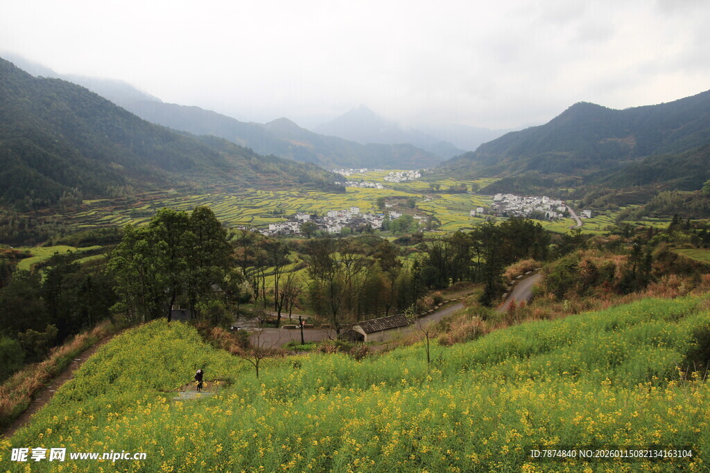 山间绿野中的宁静村落