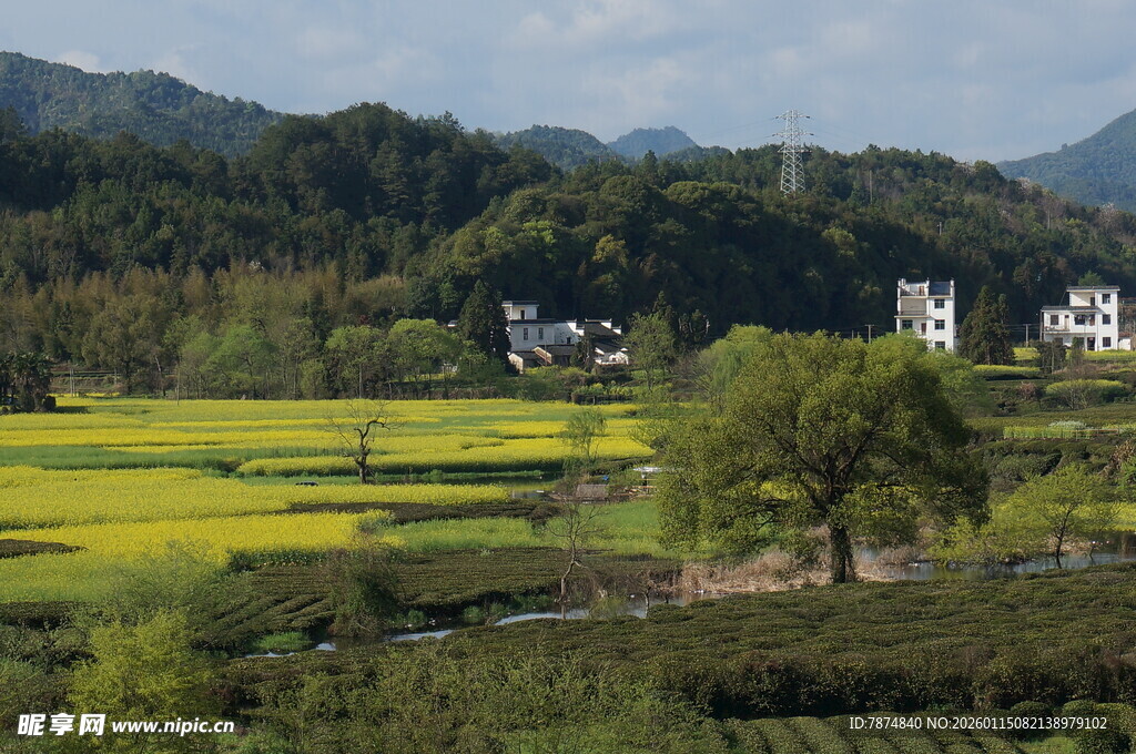 田园风光中的乡村美景