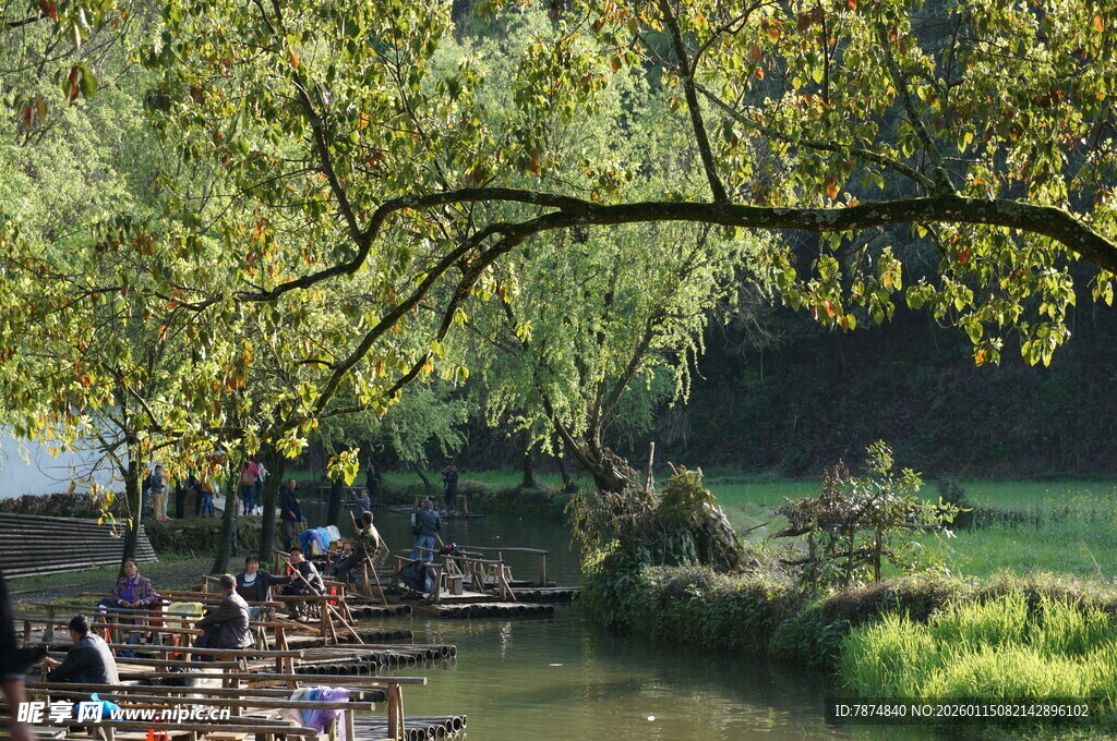 河畔绿荫下的休闲时光