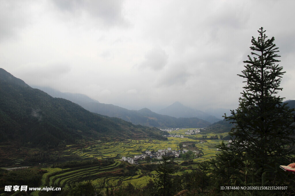 山间云绕的翠绿山谷美景