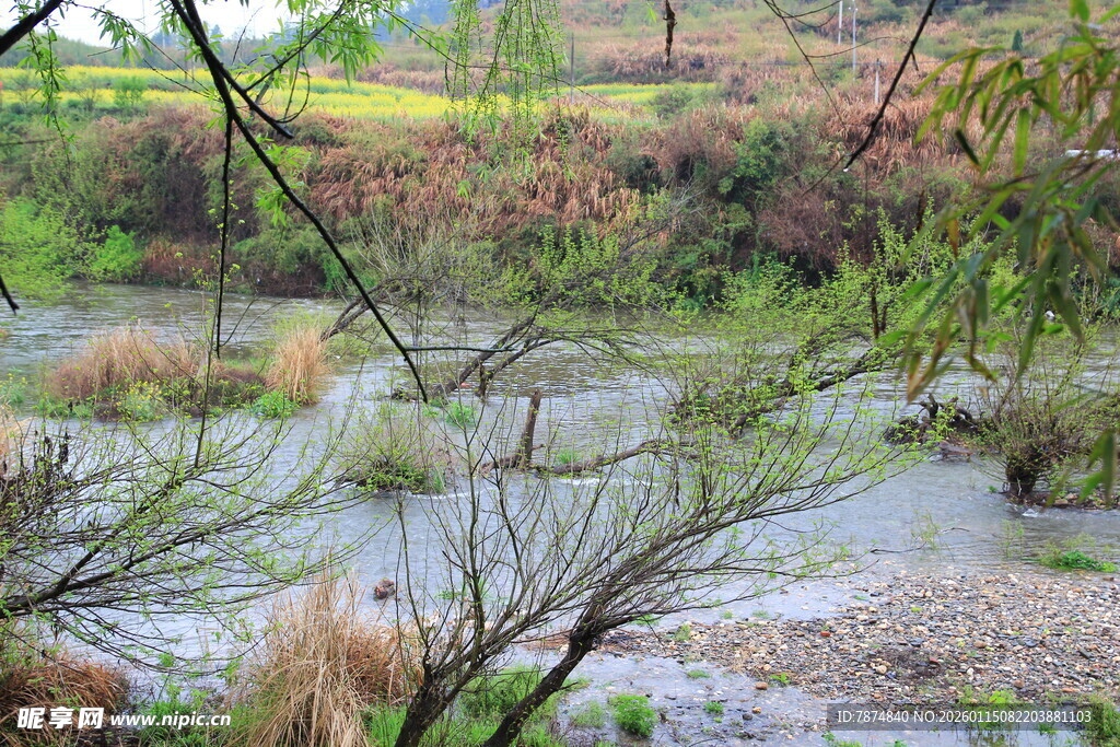 乡村河畔景致
