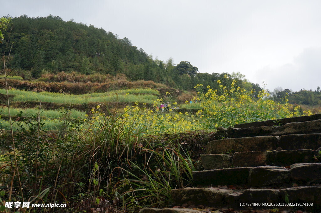 山间草径 自然野趣景致