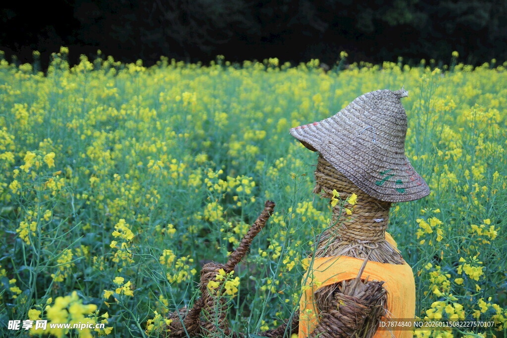 田野中的稻草人