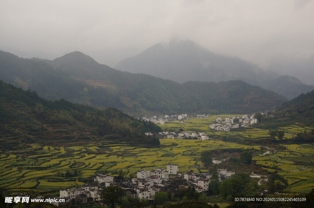 山间村落油菜花田美景