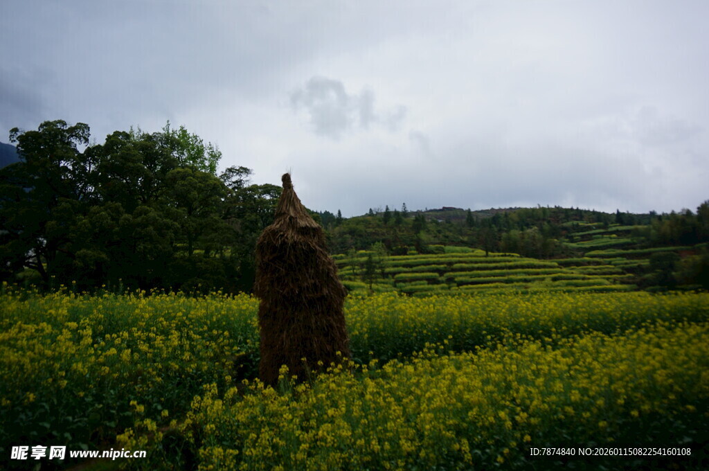 田野中的古朴石像