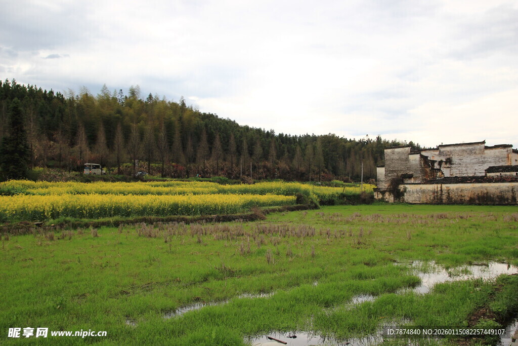 田园风光中的油菜田与村落