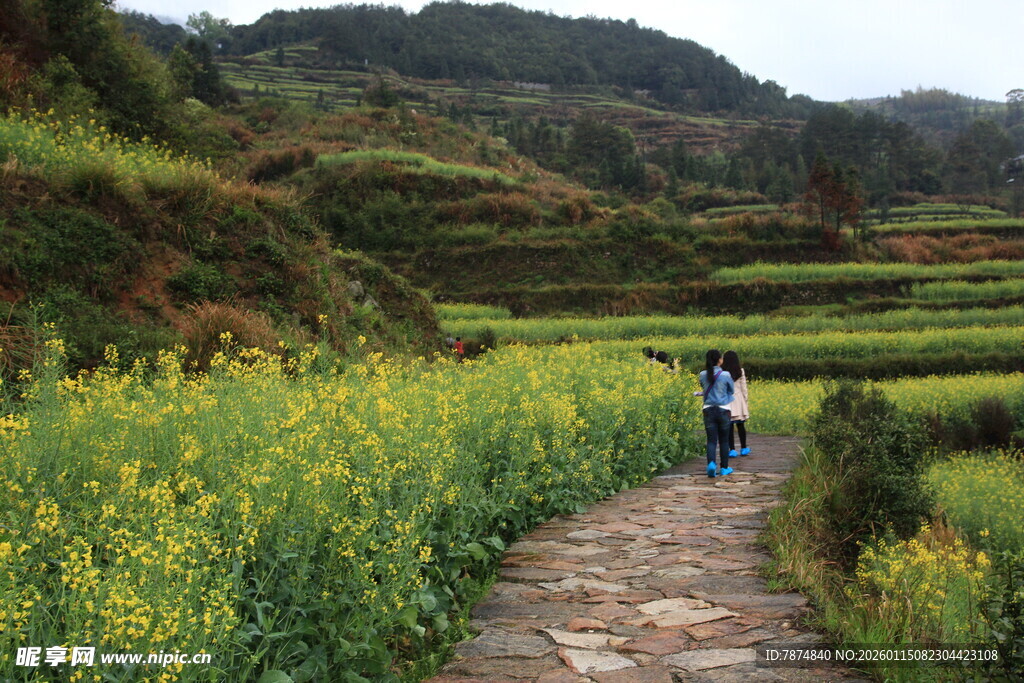 山间小径赏景的徒步者