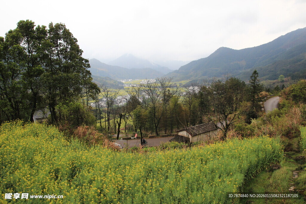 山间田园风光美景