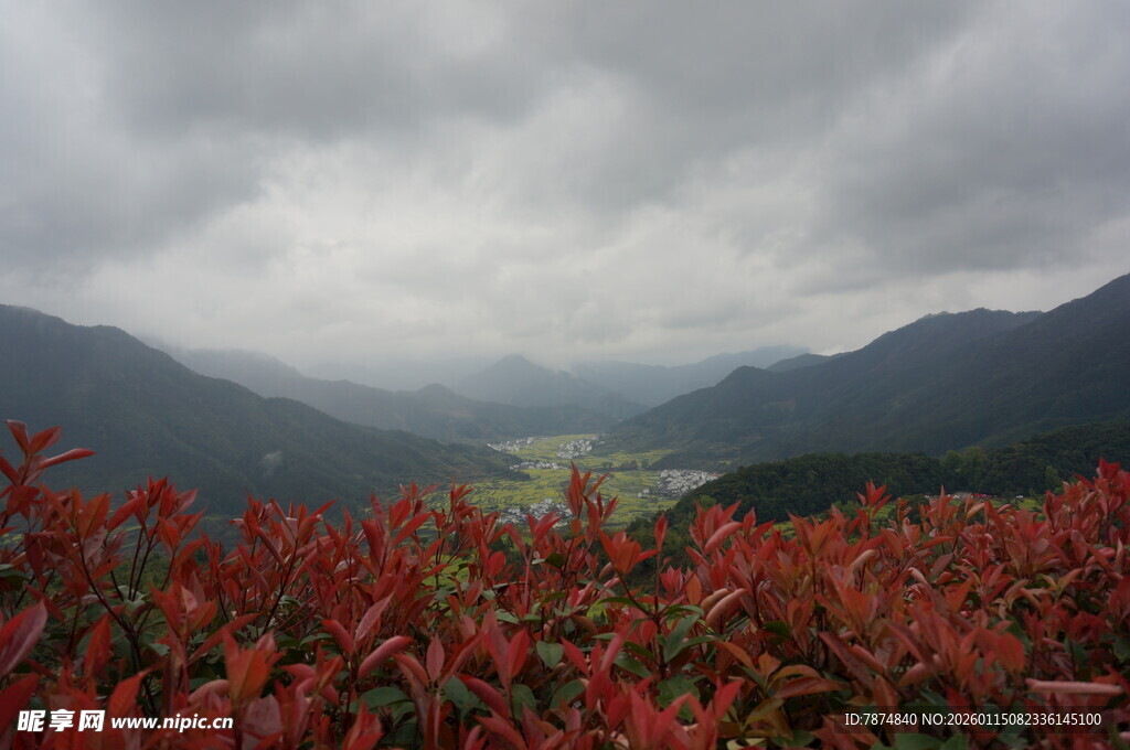 山间红叶与云雾美景
