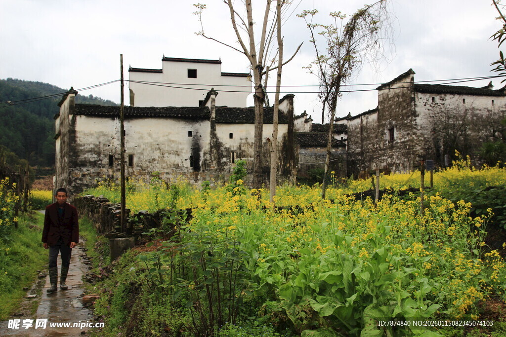 乡村小径旁的古朴民居