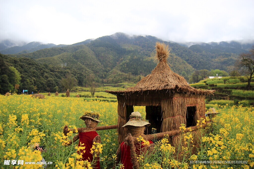 田园小屋旁的烂漫花田
