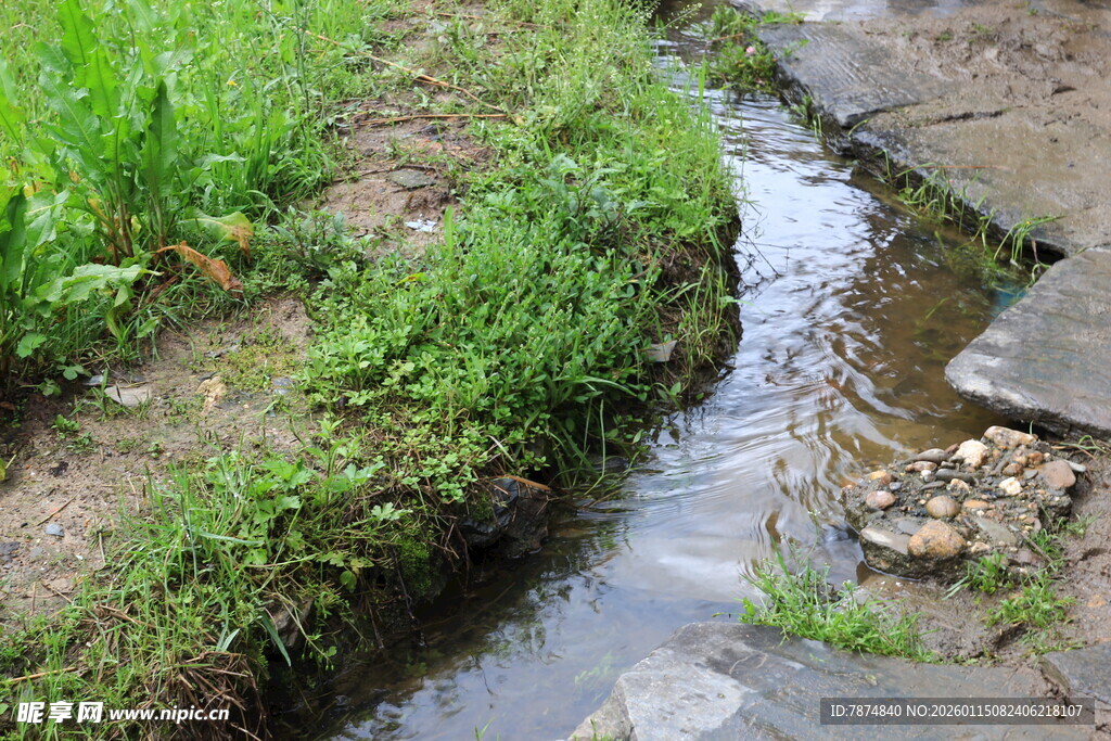 山间潺潺小溪