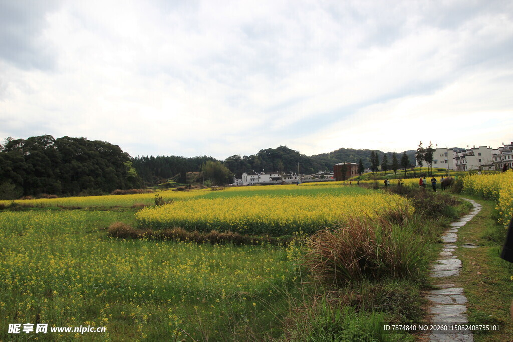 乡间田野小径 田园风光