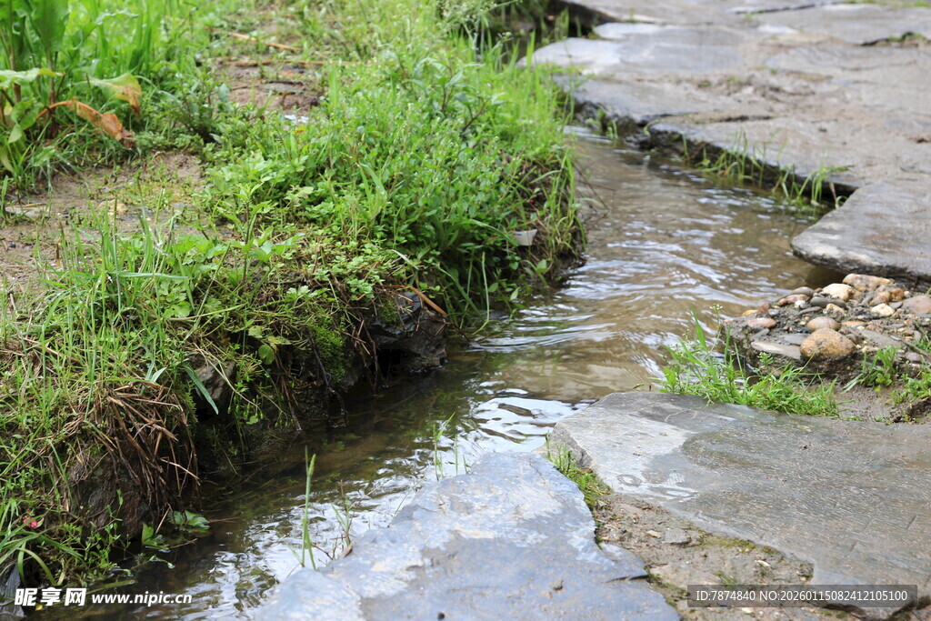 山间潺潺小溪