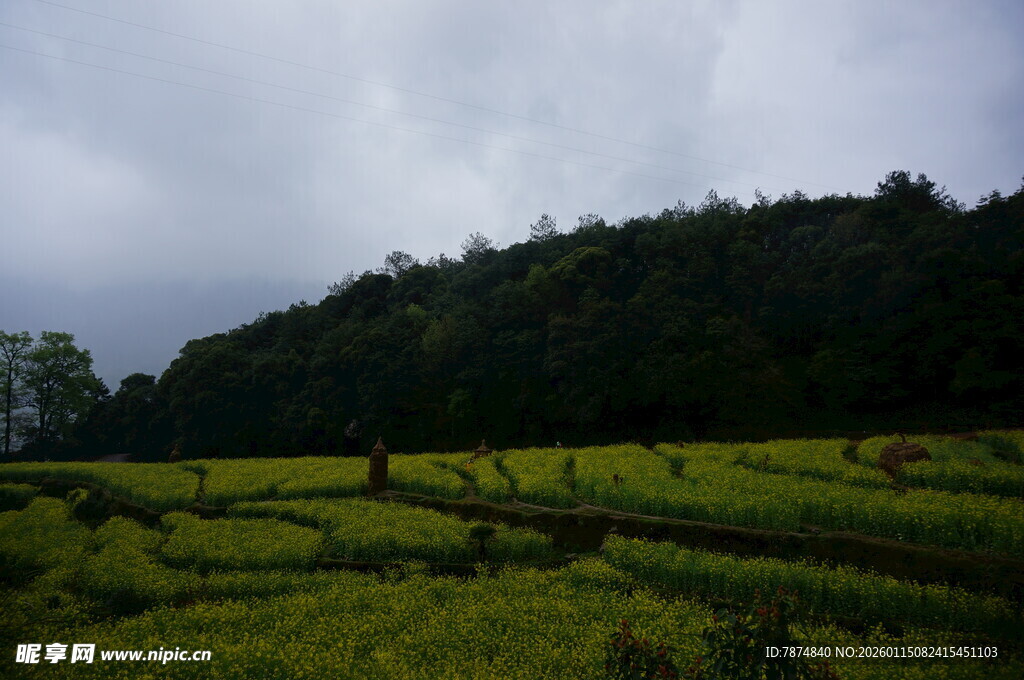山间田野的美丽田园风光