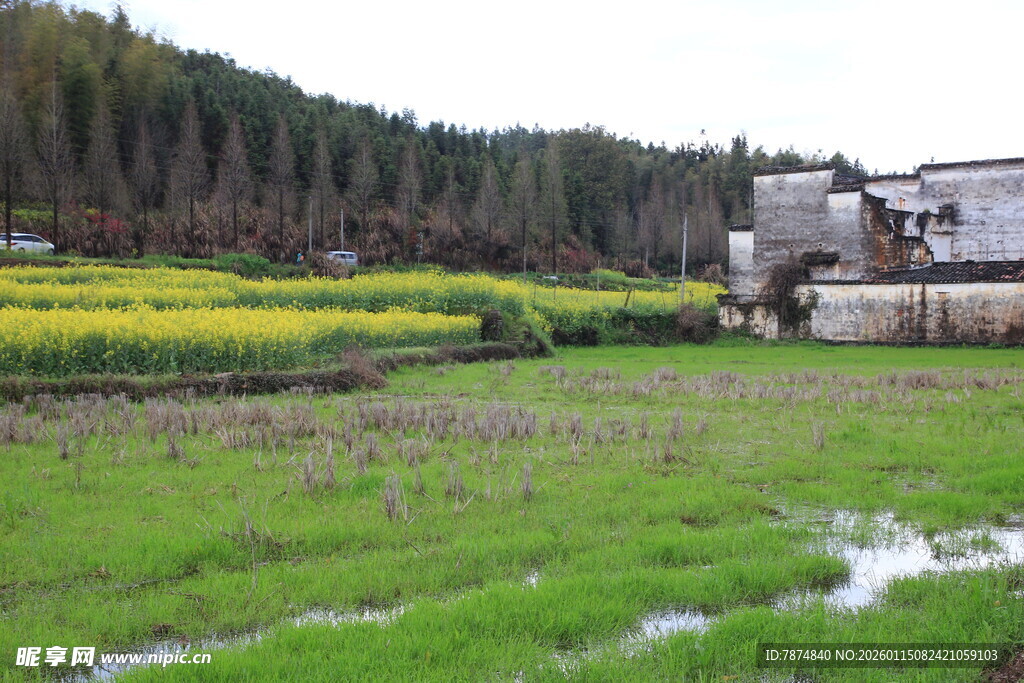 田园风光中的农田与建筑