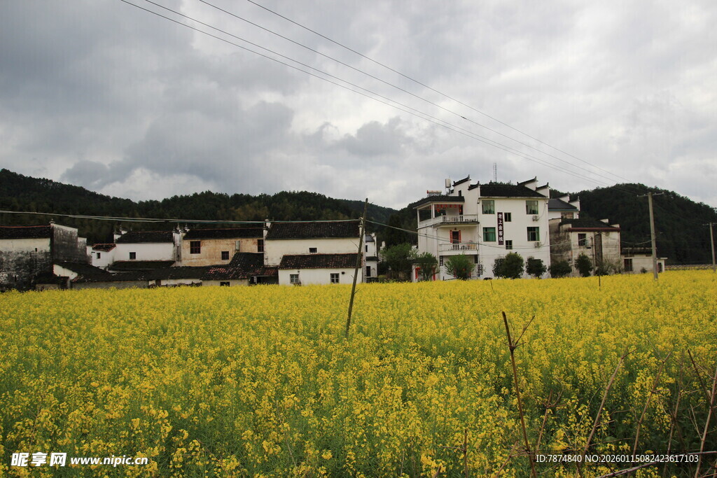 田园油菜美景 村庄隐现