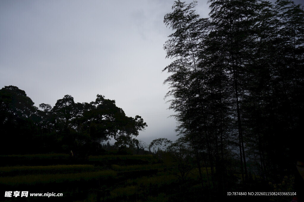 山林暮色景观
