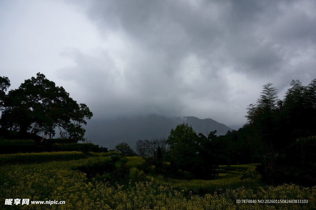 乌云下的田园风光