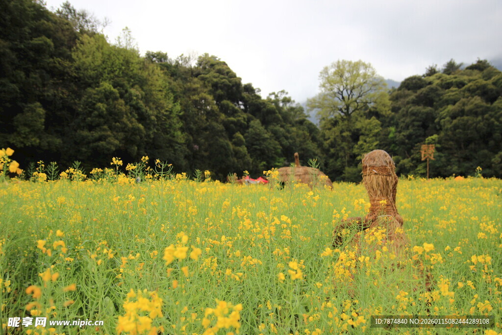 花海中嬉戏的可爱小狗