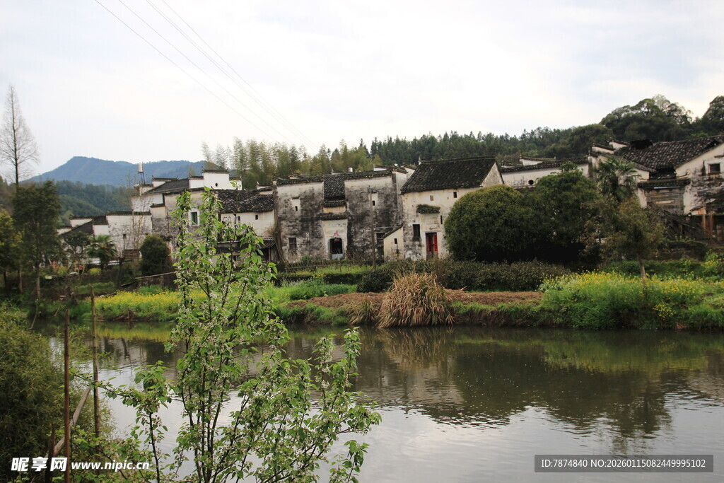 江南水乡村落湖畔美景